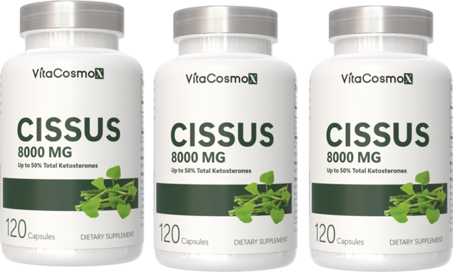 미국 비타코스모 VitaCosmoX 프리미엄 시서스 시서스캡슐 가루 분말 케토스테론 50% Cissus 고함량 고농축 8000mg, 3개, 120정
