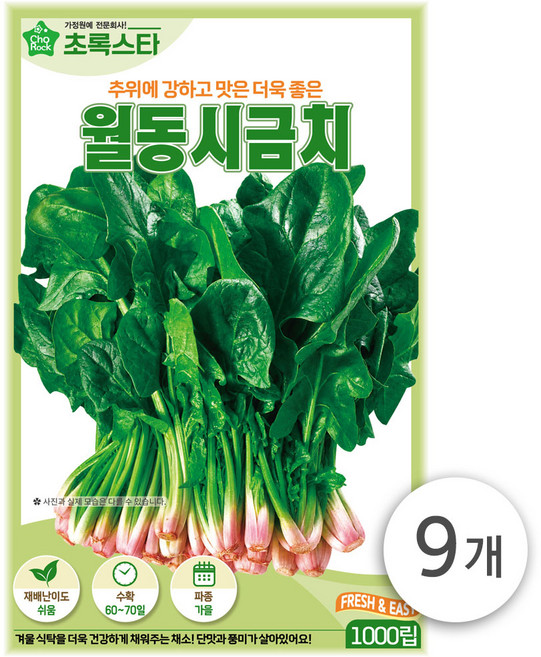 초록스타 월동시금치 1000립 시금치씨 섬초 씨앗 쉬운재배 인기씨앗 무배, 9개