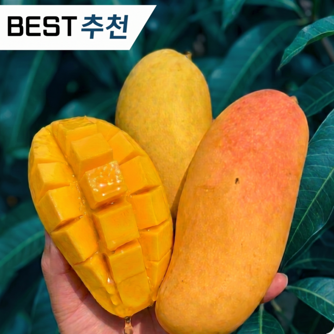 [최대18brix] 태국VIP 골드망고 마하차녹 무지개망고, 1박스, 2kg