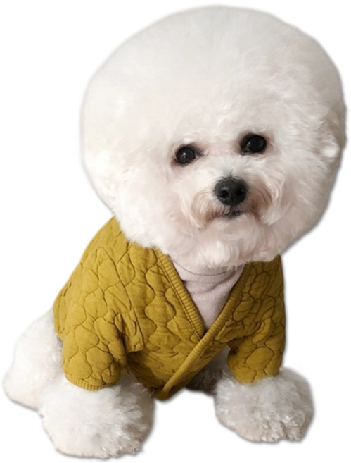 바이담수미 강아지 베이직 깔깔이 점퍼, 머스타드, 1개