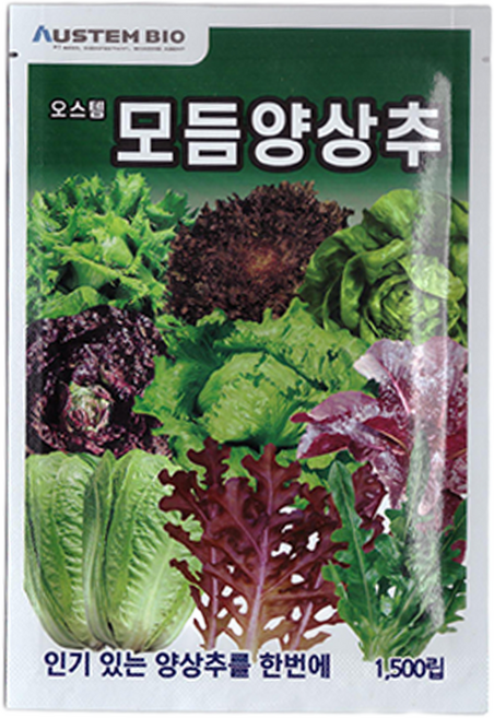 오스템 모듬 양상추 씨앗 1500립, 1개