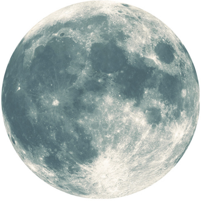 베러워커스 야광 달 스티커 천장 야광스티커, 그린