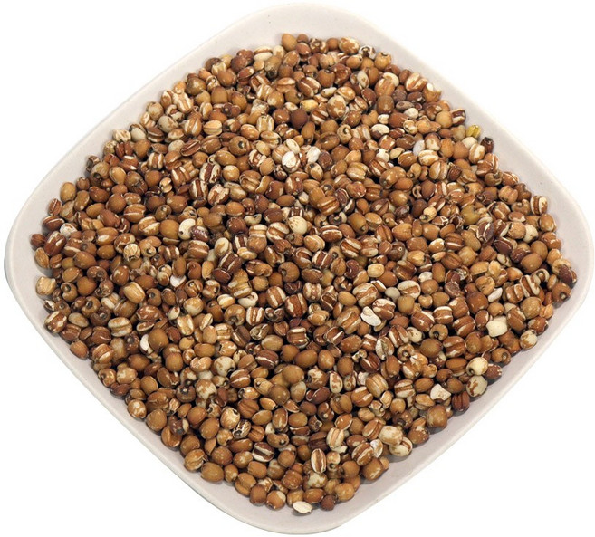 25년 햇 국산 현미율무 500g 논산팜, 2개