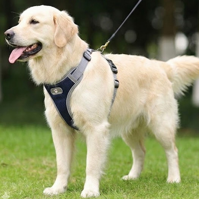 해피펫밀리 중대형견 허니콤 하네스, 네이비, 1개