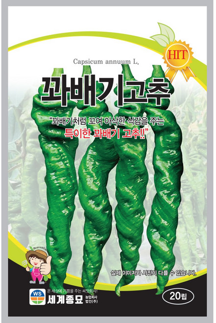 세계종묘 꽈배기고추 씨앗 20립, 1개