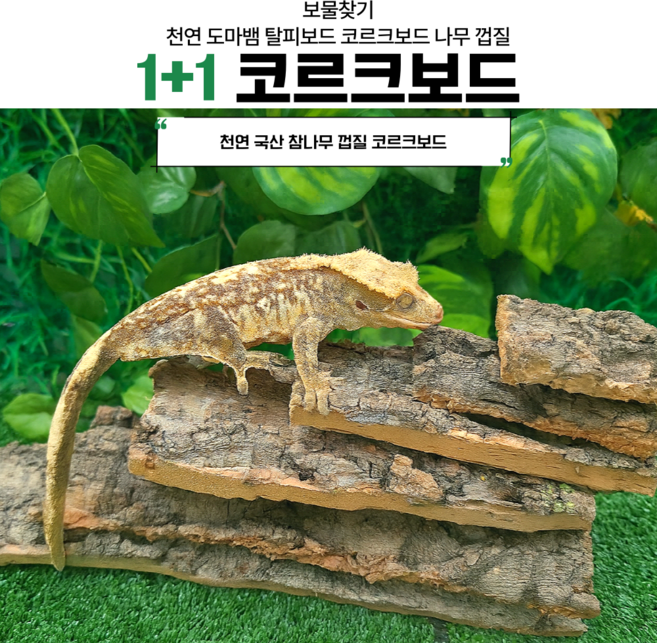 보물찾기 코르크보드 도마뱀 크레 은신처 백업 굴피껍질 사육장 꾸미기 용품 탈피보드 사이즈, 25cm 1+1