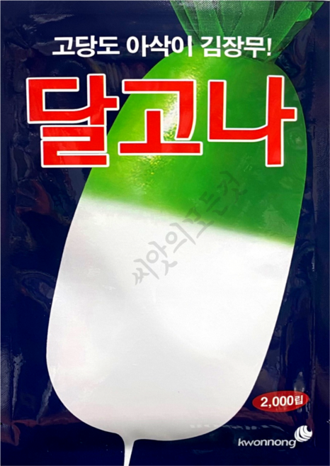 달고나무씨앗 2000립 가을 김장무우 고당도 아삭이 가을무씨앗 햇종자 김장무씨앗, 1개