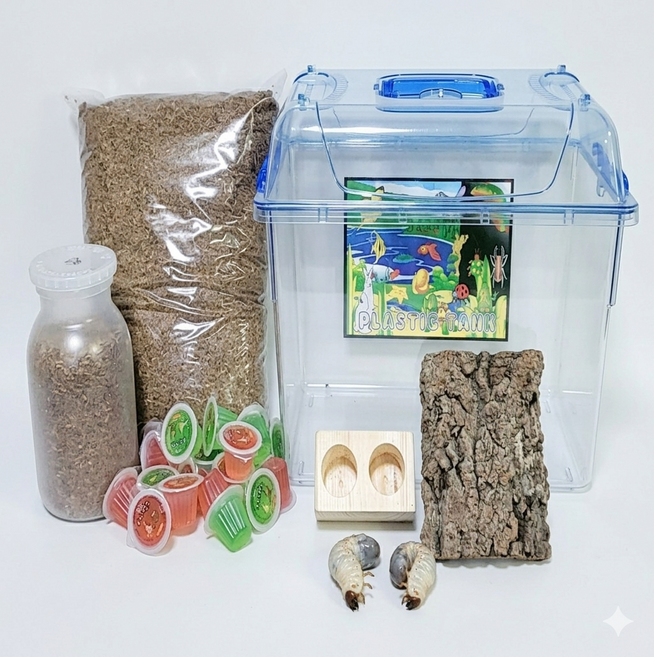 장수풍뎅이 사슴벌레 사육세트, 선택7, 1세트, 7. 장수풍뎅이 유충 중형 세트