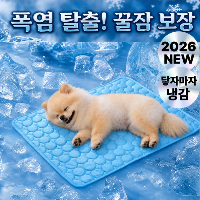 네스펫 강아지 쿨매트 냉감패드 애견쿨방석 대형, 1개, 아쿠아블루