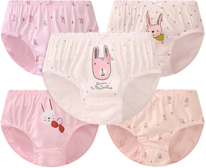 딩동댕키즈 여아용 순면 삼각팬티 5종 세트 GP046