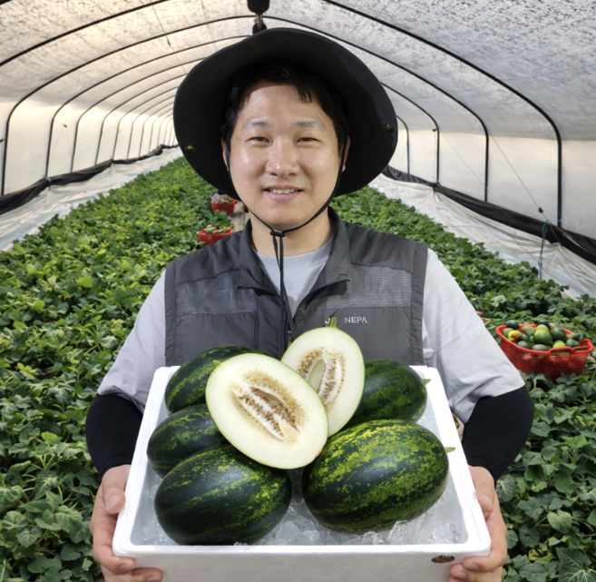 [상위1%] 산지직송 경북 고령 고당도 파파야메론, 1박스, 파파야메론5kg