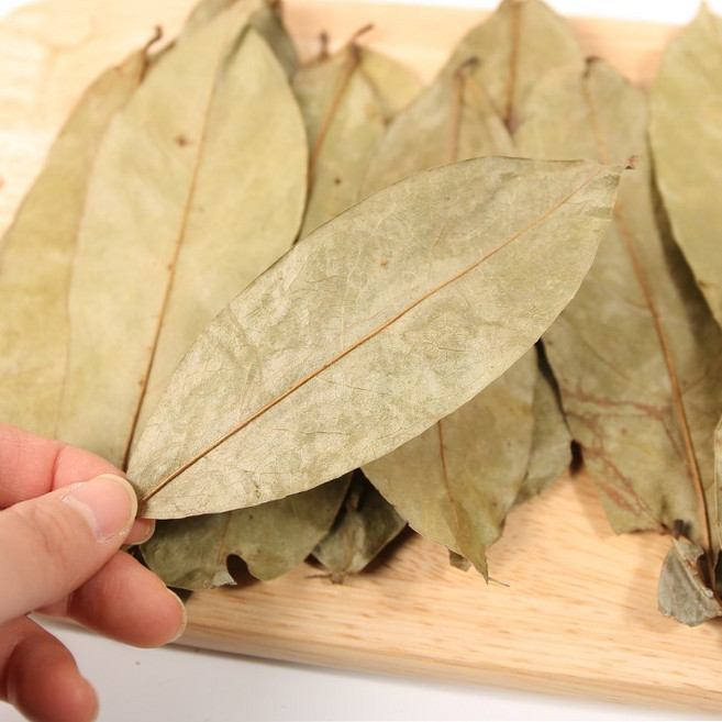 그라비올라잎 300g 그라비올라건잎 자연초그라비올라 graviola, 1개