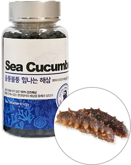 엔존 울퉁불퉁 해삼 복분자 엉겅퀴 숙지황 영양 환 정 120g, 1세트