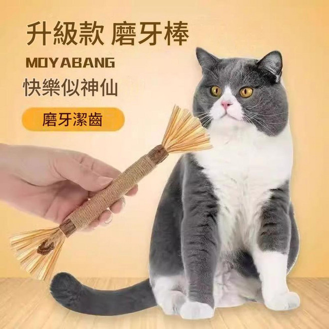 貓咪磨牙潔齒逗貓棒 自嗨解悶玩具, 磨牙棒, 1個