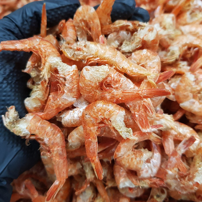 손질 두절새우 건새우 마른새우, 1kg, 1개