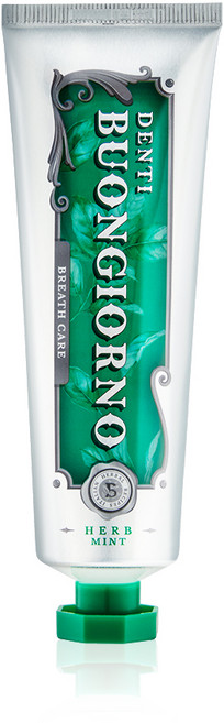 덴티본조르노 오리지널 허브민트 구취 치약 100g 1개