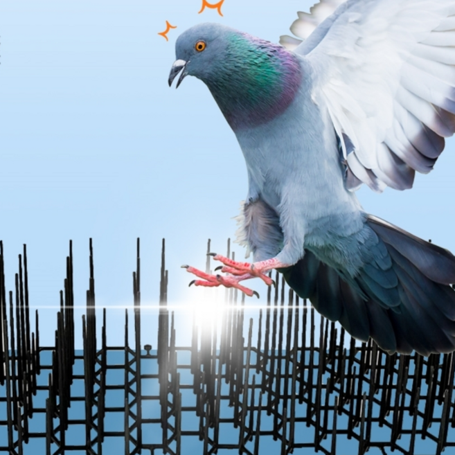 버드스트라이크 비둘기퇴치고급형 실외기비둘기청소 까치퇴치법 비둘기퇴치약, 투명자석, 1개