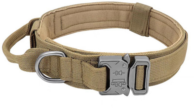 알바토 중형견 대형견 중대형견 목줄 버클형, 베이지, 1개