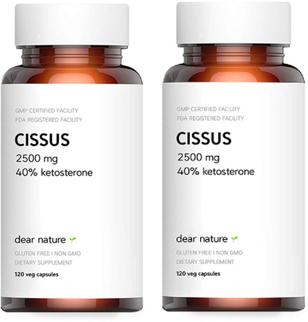 디어네이처 시서스 2500mg 40% 케토스테론 120 정 (4개월분), 120정, 2개