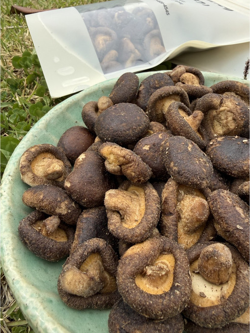 동결건조 표고버섯 칩 150g, 1개