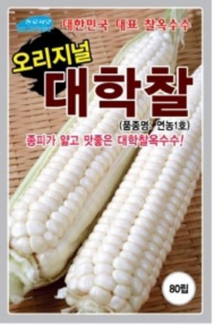 대학찰 옥수수 종피가 얇고 맛좋은 씨앗 80립, 1개
