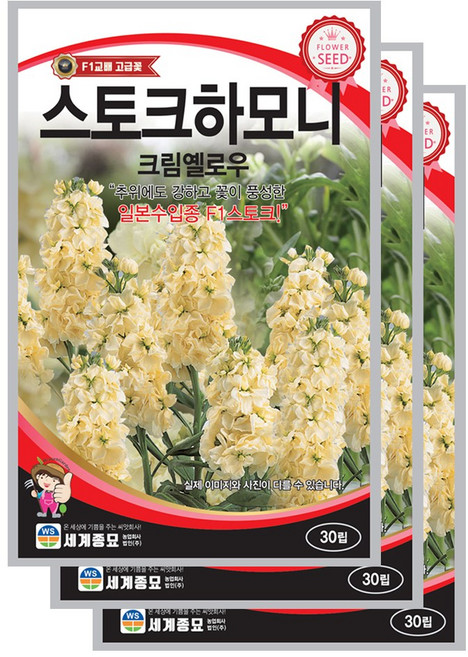 스토크하모니 크림엘로우 30립 꽃씨앗 세계종묘 모칸도, 3개