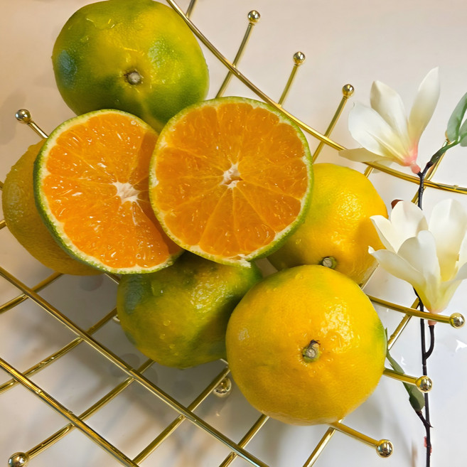 산지직송 햇 하우스감귤 고당도 프리미엄 중대과 3kg5kg, 1박스, 하우스 감귤 A급 중대과 5kg