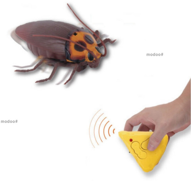 무선 조종 리얼 바퀴벌레 RC 컨트롤 로치 로봇