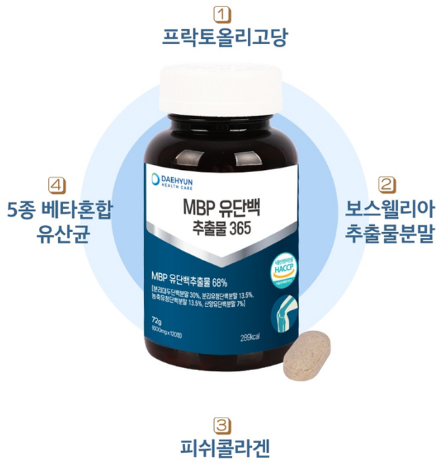 대현헬스케어 MBP 유단백 365, 10개, 120정
