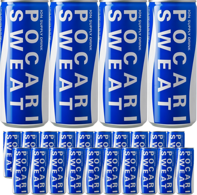 갈증해소 이온음료 포카리스웨트, 1개, 240ml