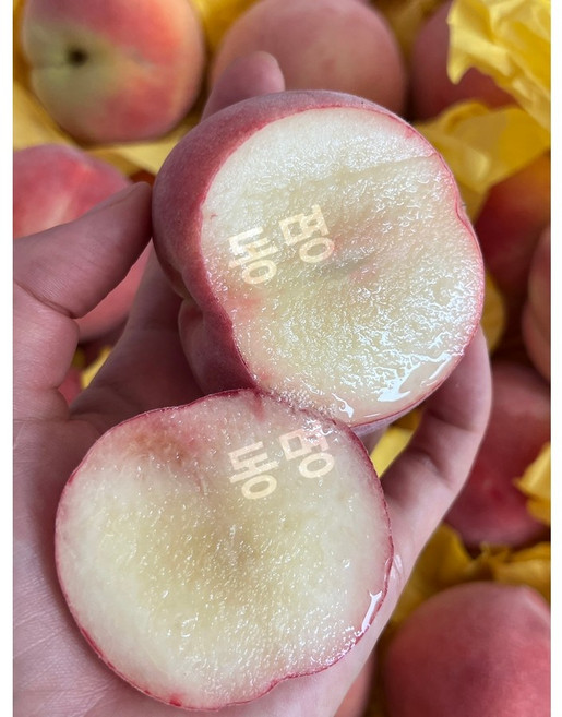 신선팜 대극천 납작 복숭아 노지 아삭이 고당도 국내산, 1박스, 500g, 하우스복숭아