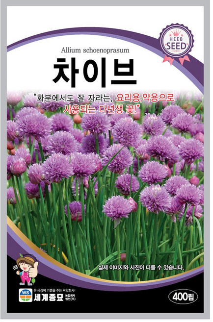 모칸도 (무배)세계 차이브 (챠이브) 꽃씨 허브(400립), 1개