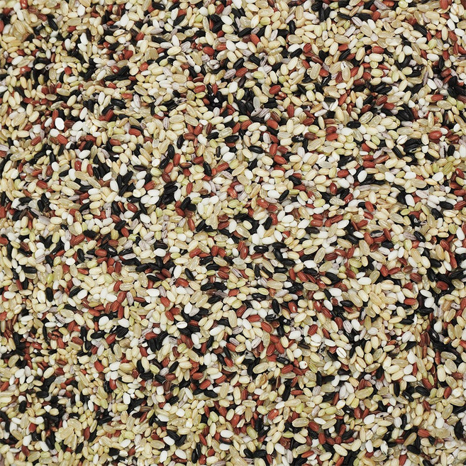 [오색향미] 해남 무농약 잡곡, 1kg, 1박스