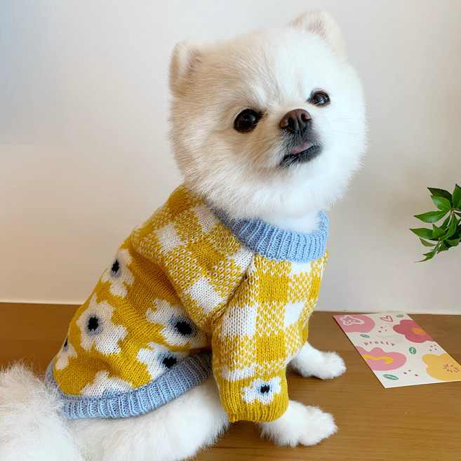 강아지 꽃 니트 플라워 스웨터 강아지니트 소형견 중형견 옷, 1개, 옐로우