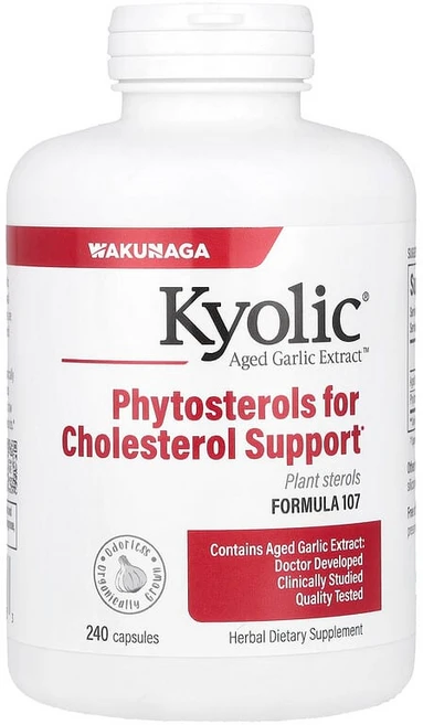 Kyolic Aged Garlic Extract™ 포뮬라 107 캡슐 240정 Kyolic (쿄릭), 1개 - 쿠팡