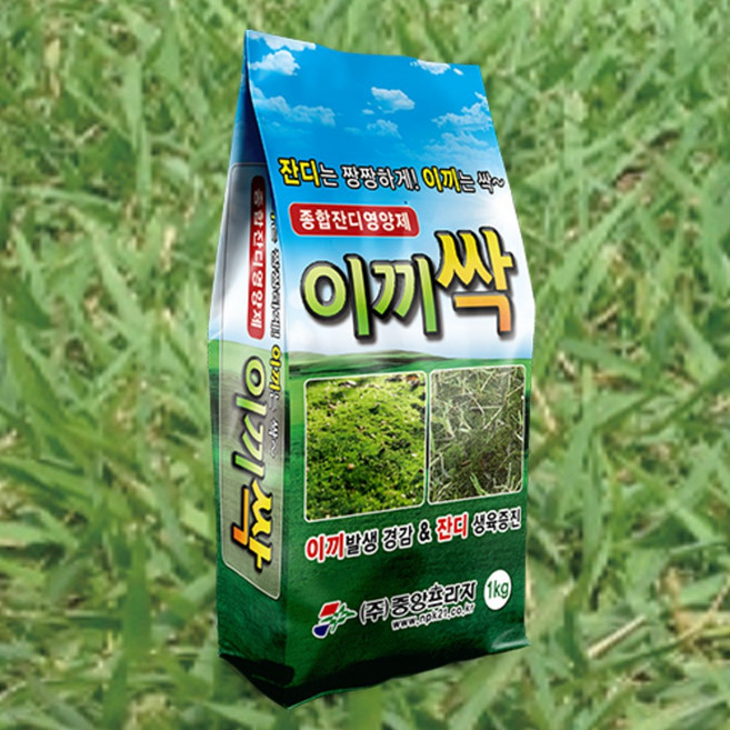 비료나라 I 중앙프라자 이끼싹(입제) 1키로 이끼제거 미량요소비료 미량요소복합 비료 잔디관리 잔디비료 수용성붕소 수용성모리브덴 청태제거, 1kg, 1개