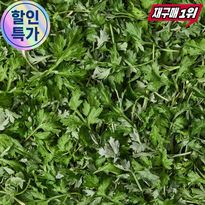 [하루30박스만] 여수거문도 새벽수확 해풍 생쑥, 1박스, 500g