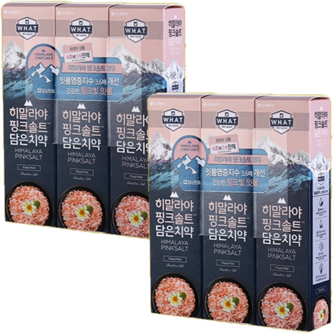 히말라야핑크솔트 담은 치약 플로럴, 100g, 6개