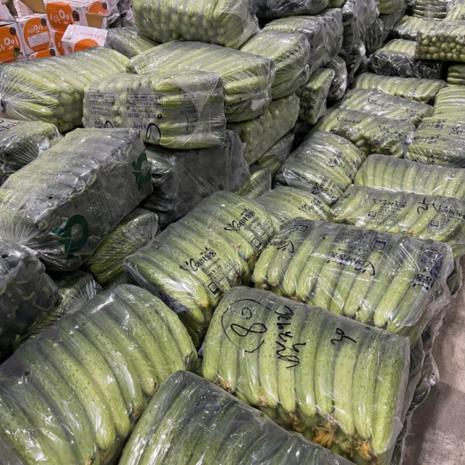 오이지용 백다다기 오이 50개나외 아삭 신선, 1박스, 50개내외