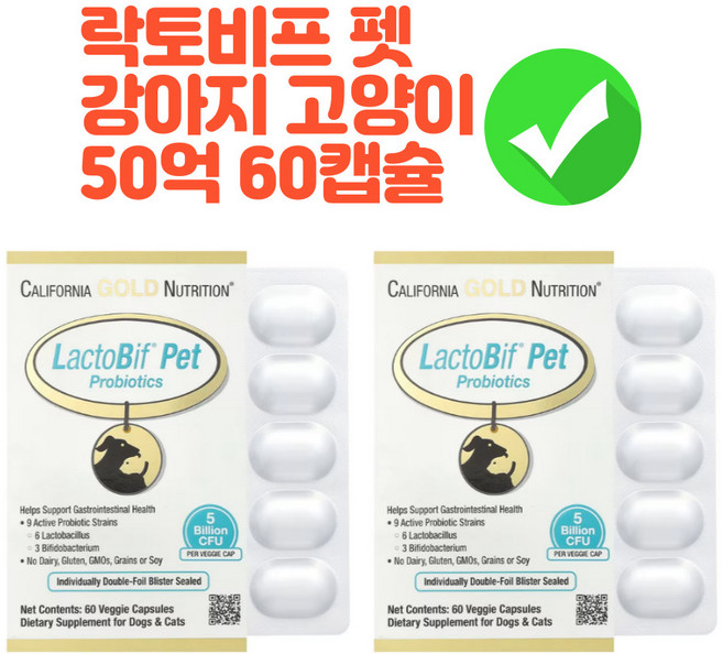 (1+1) CGN 락토비프펫 강아지 유산균 50억 CFU 60정, 위, 1개