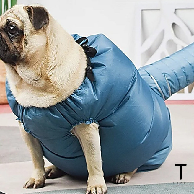 고양이 털 건조기 강아지 털 말리기 드라이룸 펫 드라이어