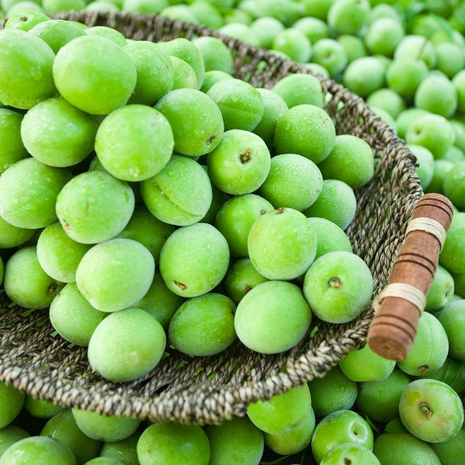 싱싱한 청매실, 1개, 5kg(대)