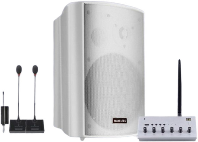 블루코어 마이크세트 매장스피커 블루투스 대형 무선컨트롤 리모컨 펜션 카페, BT-Pro W2-Goose