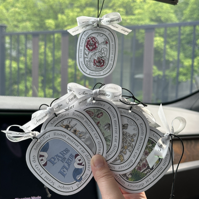 아망디에 룸미러 방향제 차량용 종이 방향제 세트, 6개 향 모음, 1세트
