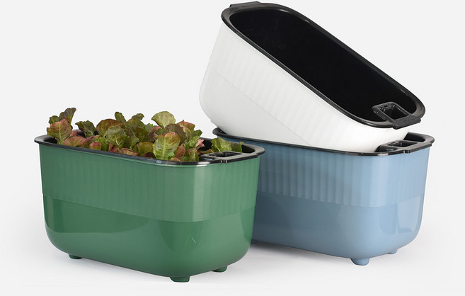 마이플랜트 펍가든 저면관수 텃밭화분, 모스그린