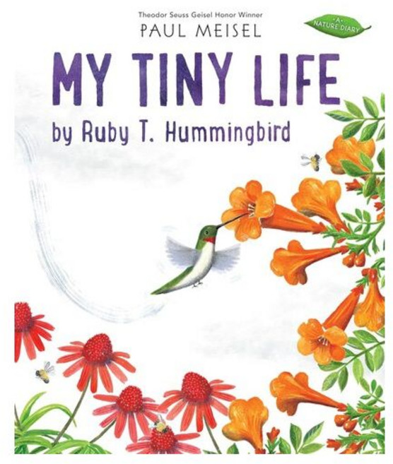 영문 유아도서A Nature Diary: My Tiny Life by Ruby T. Hummingbird Paperback (미국판) 9780823454662 2424115, 영문 영어 유아 도서 A Nature Diary: My