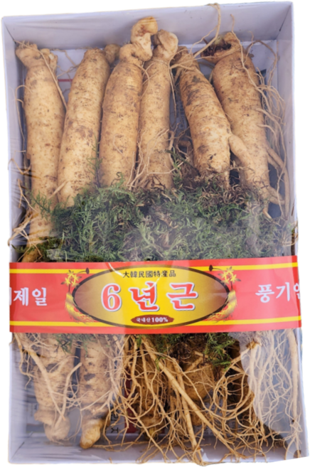 풍기인삼 5년근 6년근 인삼 수삼, 정품 원수삼 500g(8~12뿌리) 선물용 실속포장, 1개