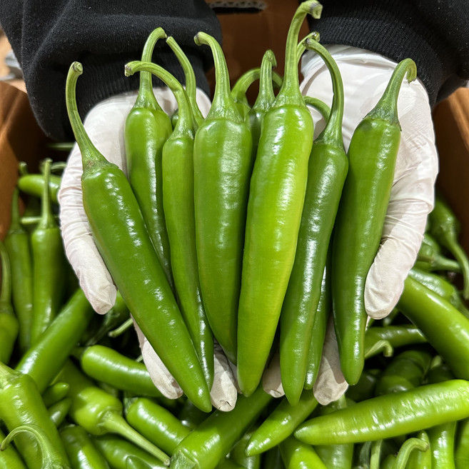 안 맵고 아삭한 모닝고추 특A급, 1개, 1kg