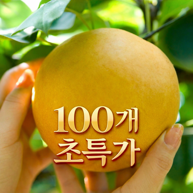 [100개 초특가] 나주배 신고배 가정용 햇배 고당도, 1박스, 신고배 (상) 5kg