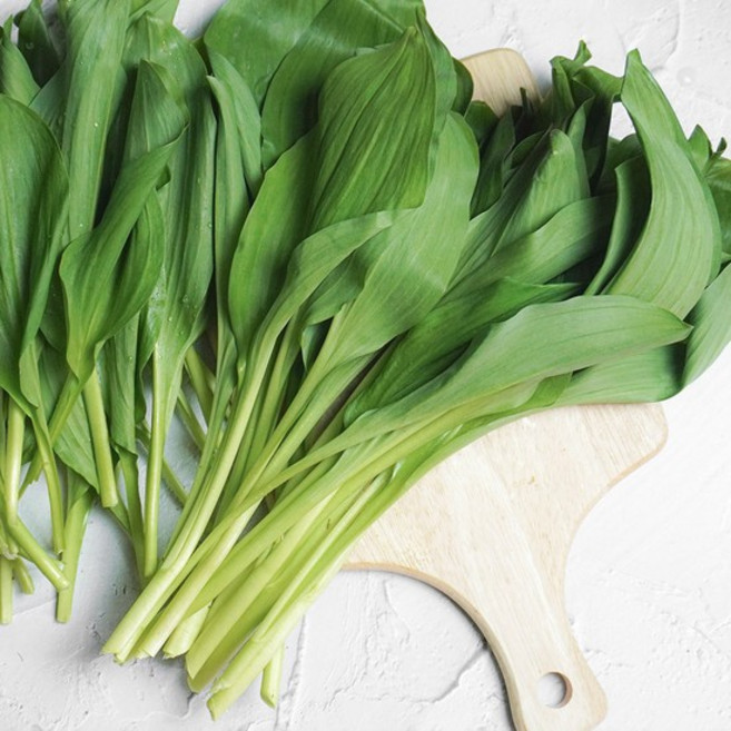 [더조은] 강원도 정선 고랭지 명이나물 4kg, 없음, 1개